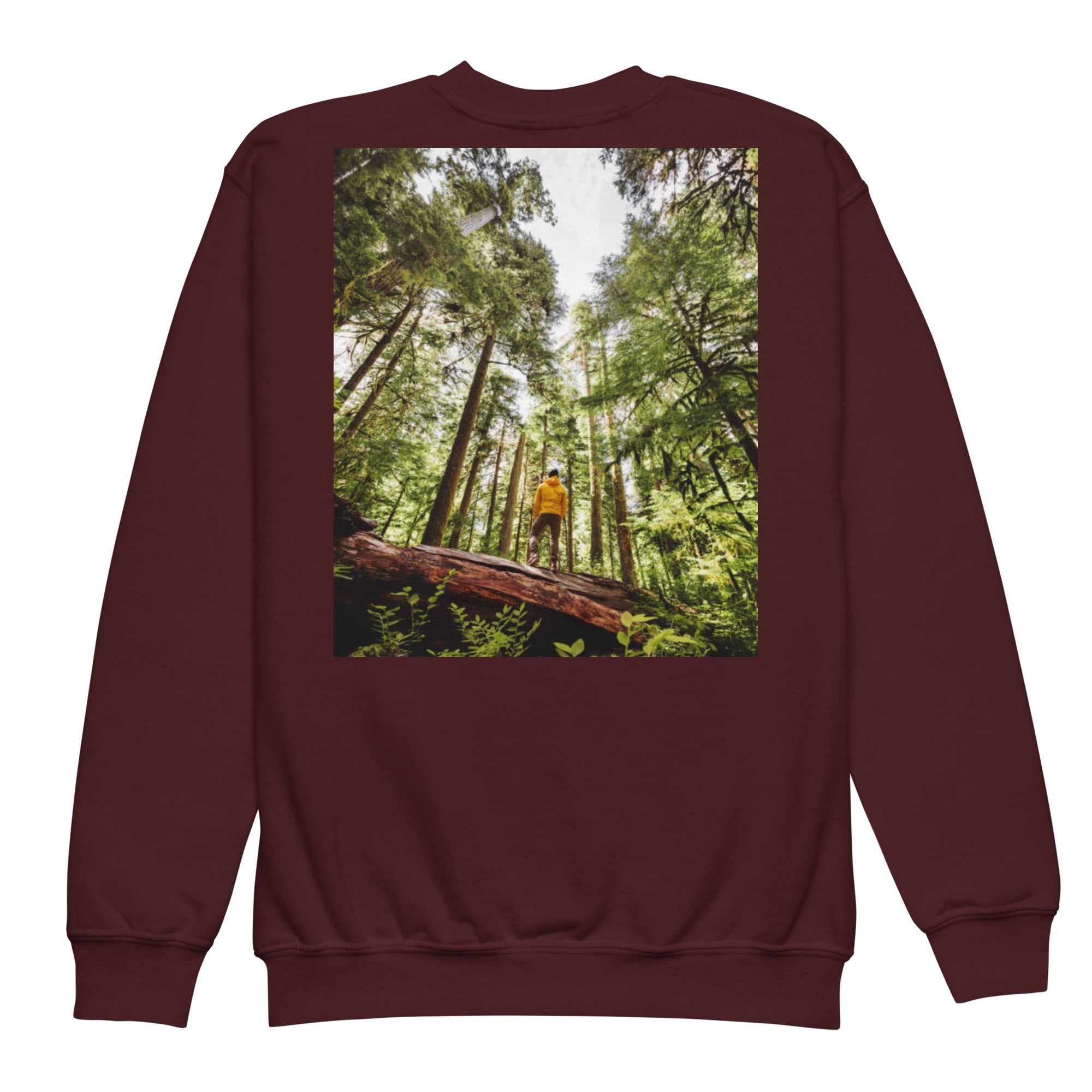 Youth crewneck sweatshirt