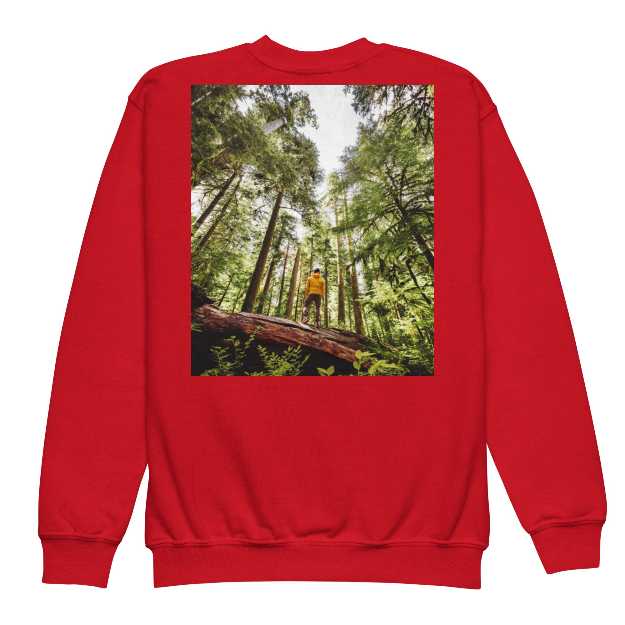 Youth crewneck sweatshirt