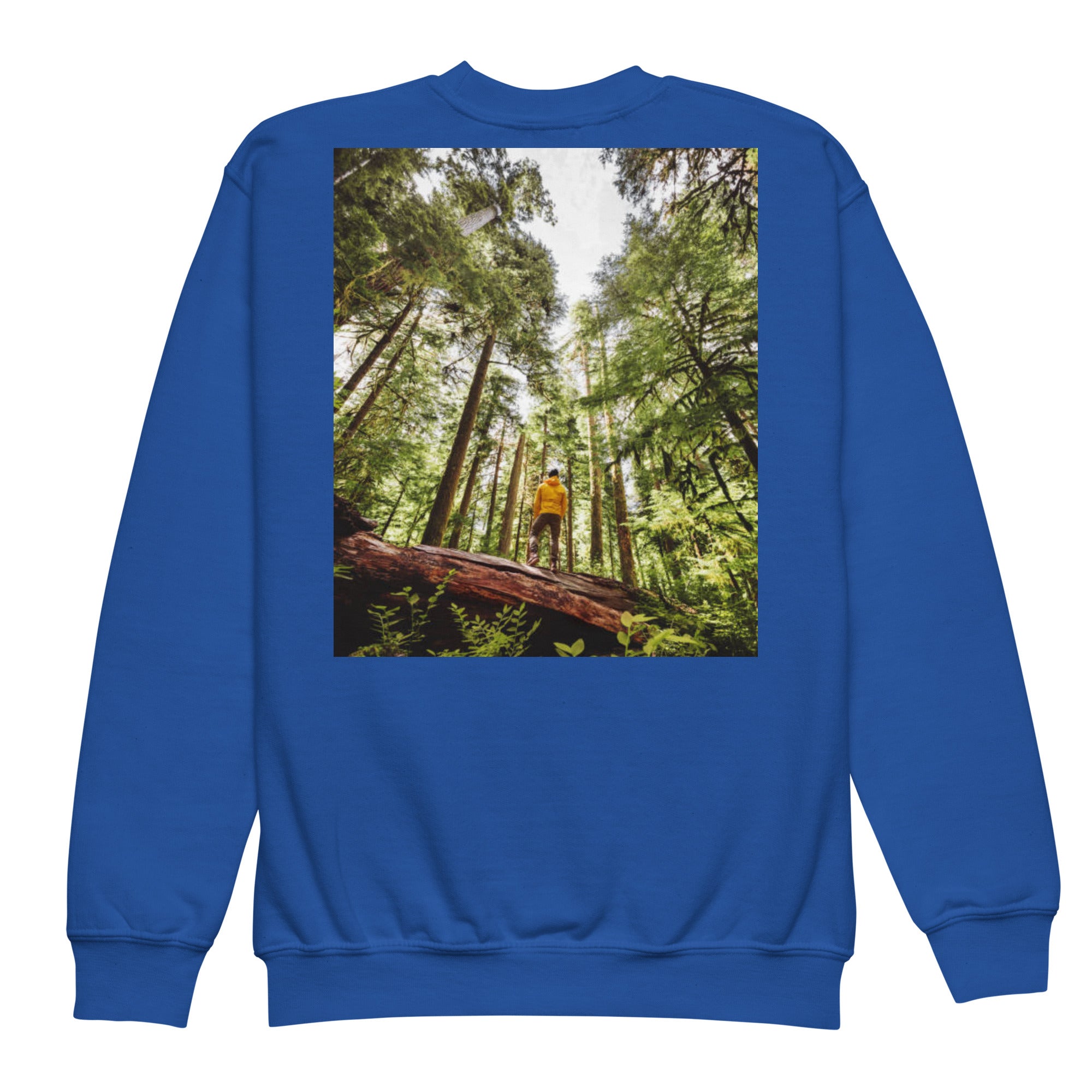 Youth crewneck sweatshirt