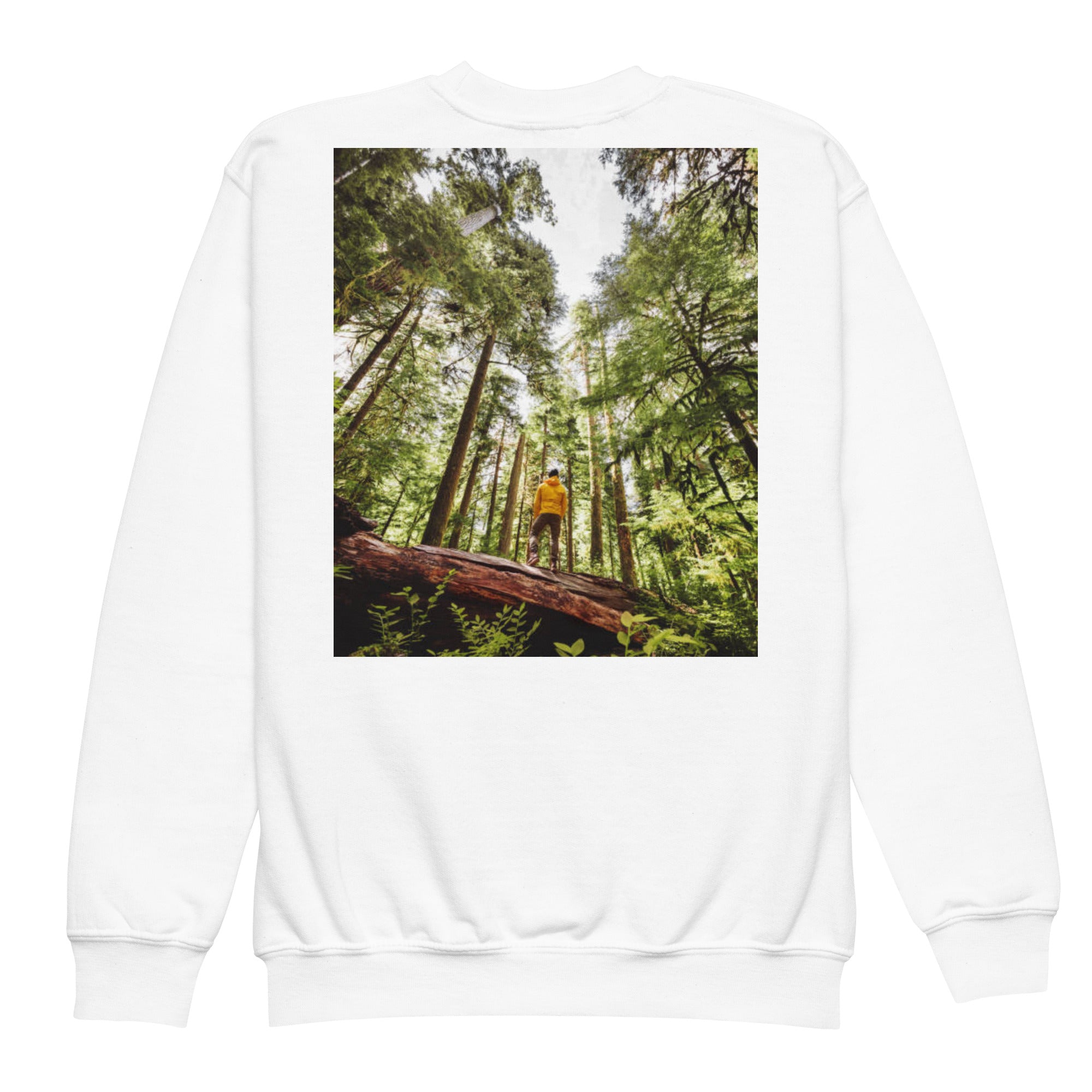 Youth crewneck sweatshirt